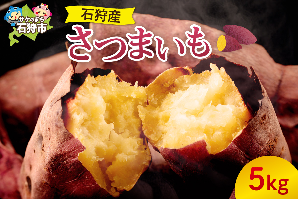石狩産さつまいも 5kg | 北海道産 野菜 芋 北海道 石狩市
