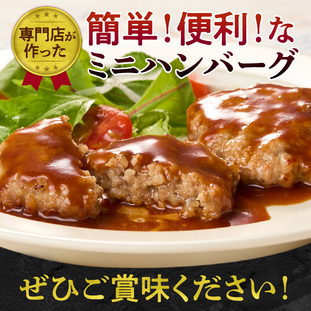 ファイヤーバーグ　焼成ミニハンバーグ25g×20個 ｜ お手軽 レンチン 惣菜 北海道 石狩市
