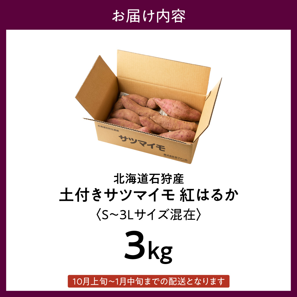 ãå
è¡äºçŽãç³ç©ç£ åä»ãµããã€ã¢ çŽ
ã¯ããïŒSã3Lãµã€ãºæ··åšïŒ 3kgã10æçºéã | ãã€ãŸãã ãµããã€ã¢ è åæµ·é ç³ç©åž