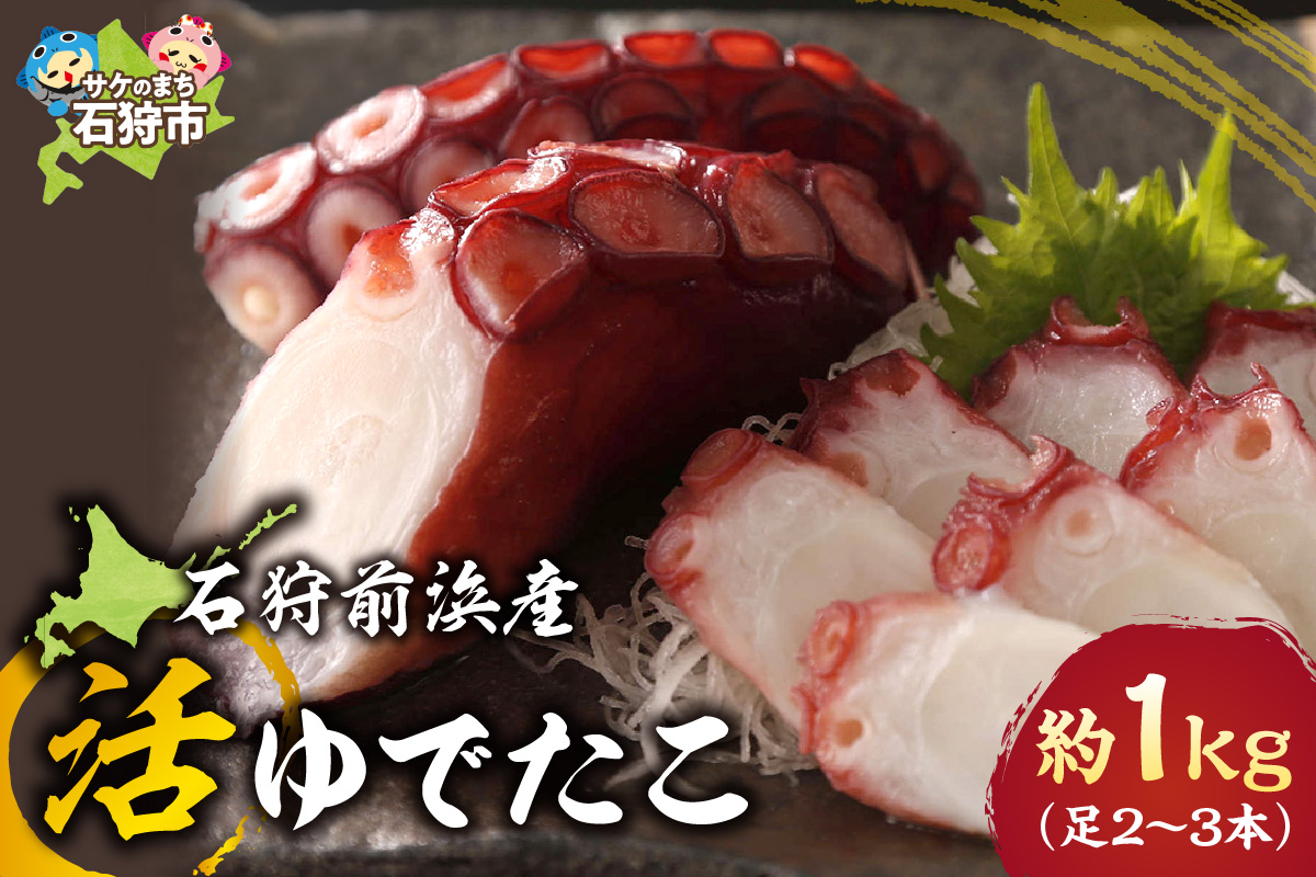 石狩前浜産 活ゆでたこ｜タコ 海鮮 石狩前浜産 北海道 石狩市