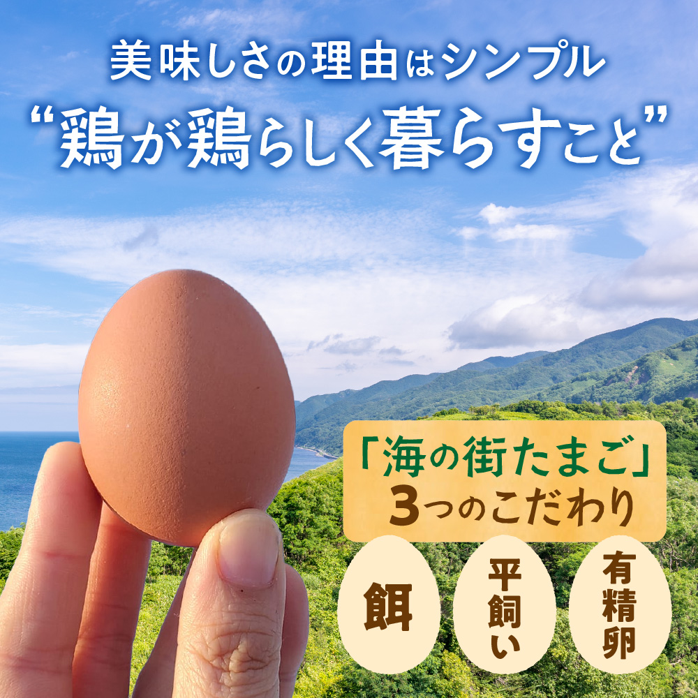 鬟帙カ魑・霎イ蝣エ縲豬キ縺ョ陦励◆縺セ縺斐60蛟