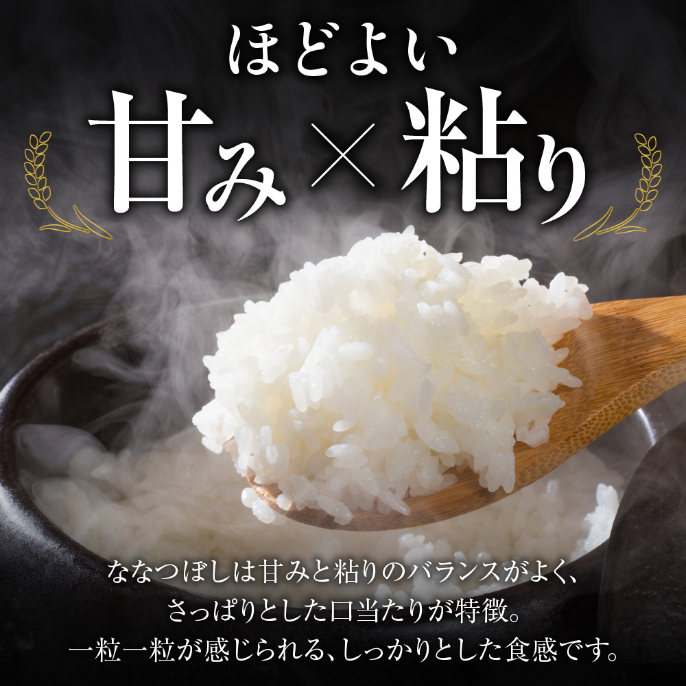 地物市場とれのさと ななつぼし 10kg（5kg×2）