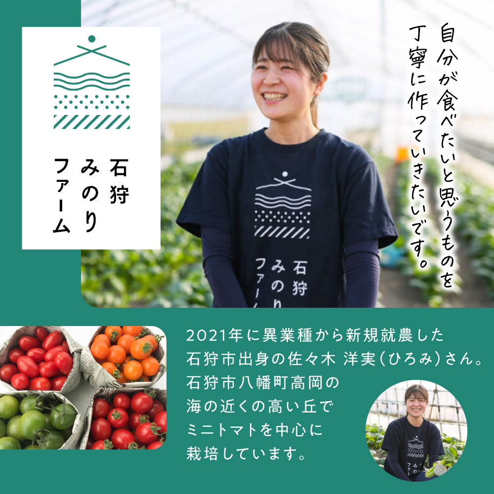 トマト農家が作ったトマトのジェラート「GELATOMA」4個 | とまと 野菜 フルーツ アイス 北海道 石狩市