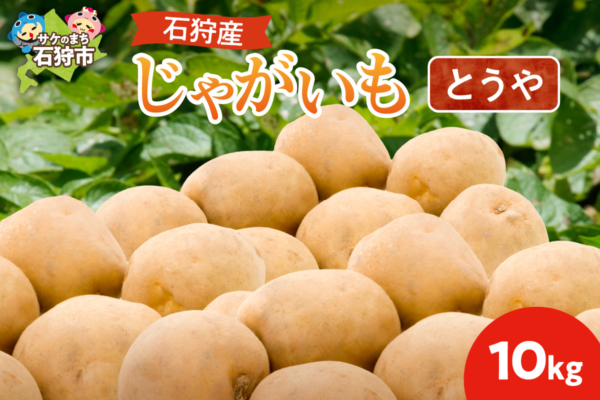 石狩産 じゃがいも（とうや） 10kg【9月発送】 ｜ 北海道産 野菜 じゃがいも 北海道 石狩市