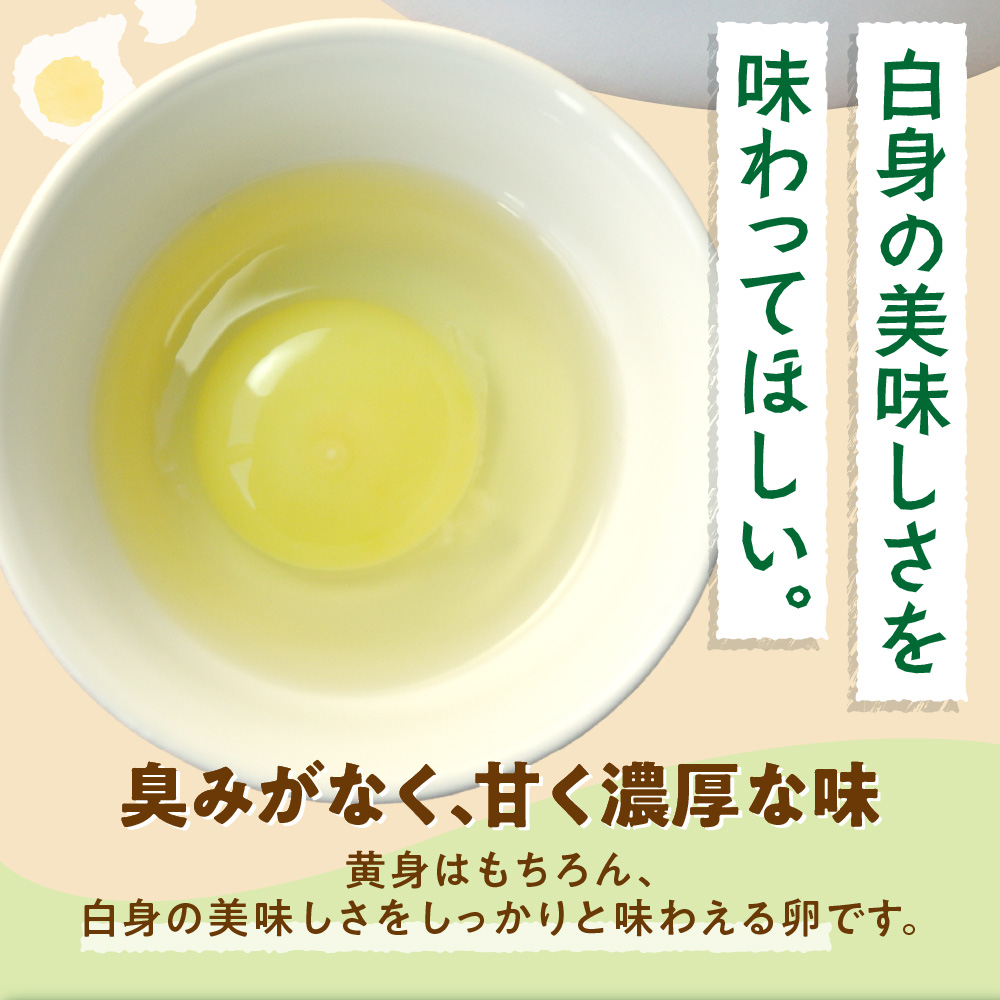 鬟帙カ魑・霎イ蝣エ縲豬キ縺ョ陦励◆縺セ縺斐40蛟