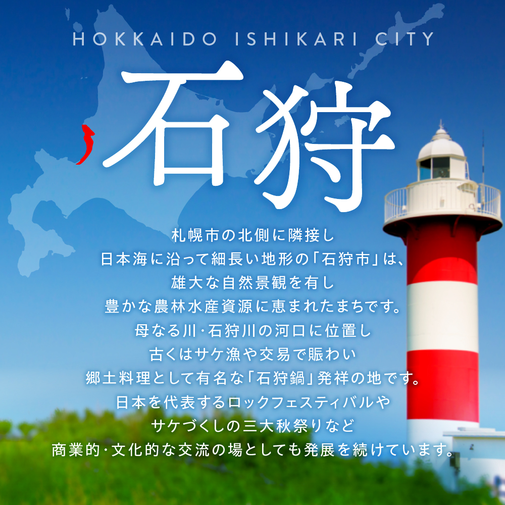 【定期便3ヶ月】北海道産ななつぼし 5kg×3回｜米 精米 特Aランク 北海道 石狩市