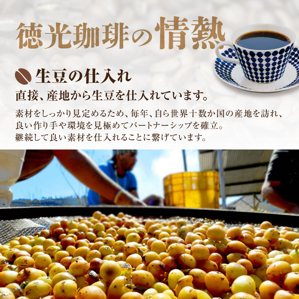 徳光珈琲コーヒーライフスタートセットB