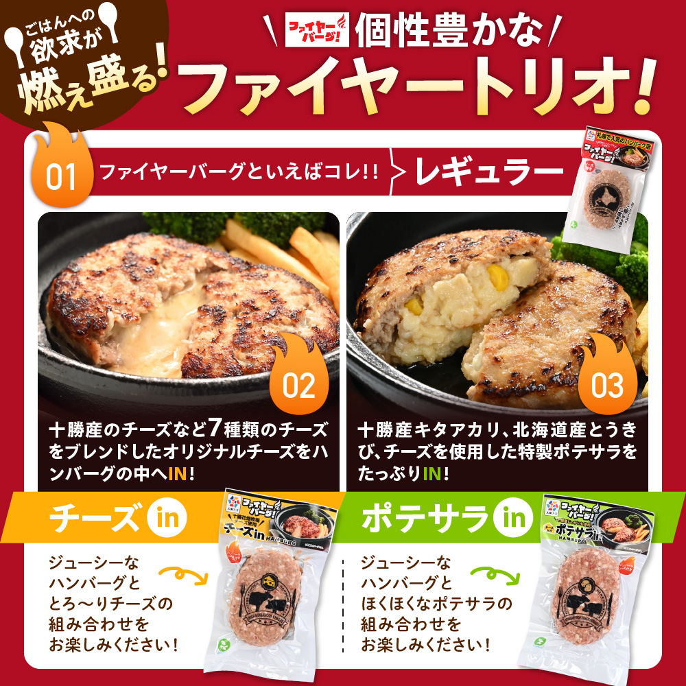 【定期便3回】ファイヤーバーグお試し定期便 ｜ 専門店 惣菜 北海道 石狩市