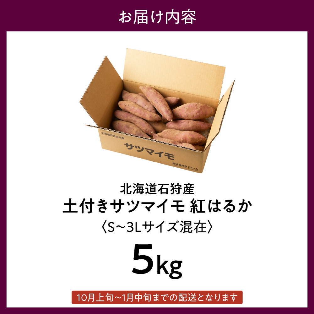 ãå
è¡äºçŽãç³ç©ç£ åä»ãµããã€ã¢ çŽ
ã¯ããïŒSã3Lãµã€ãºæ··åšïŒ 5kgã10æçºéã | ãã€ãŸãã ãµããã€ã¢ è åæµ·é ç³ç©åž