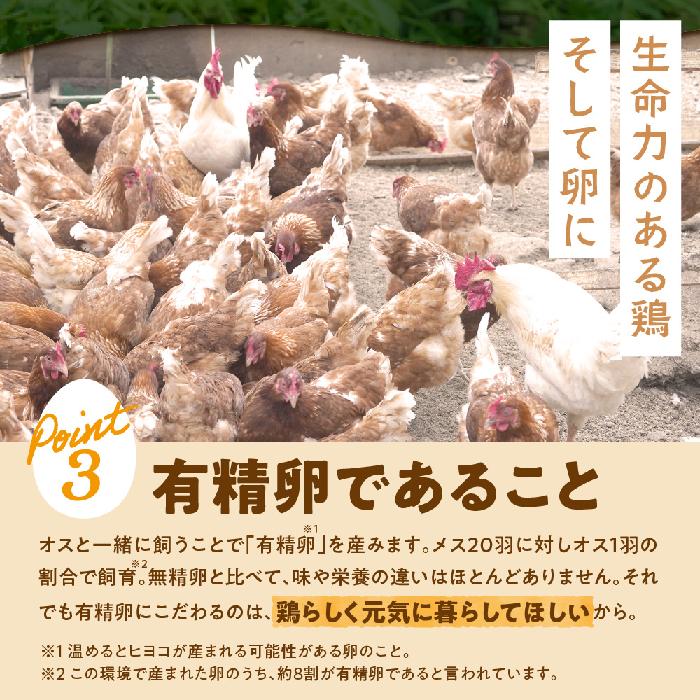 鬟帙カ魑・霎イ蝣エ縲豬キ縺ョ陦励◆縺セ縺斐60蛟