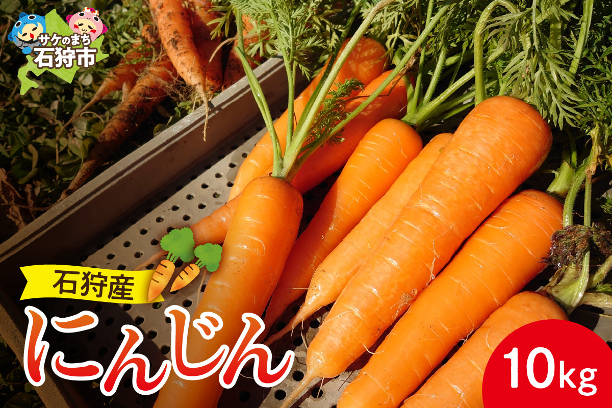 石狩産 人参 10kg[8月〜11月発送]| 北海道産 にんじん 野菜 北海道 石狩市