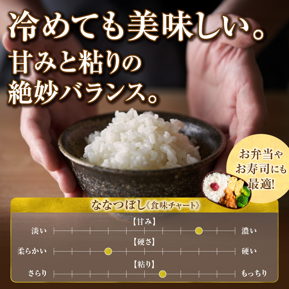 【定期便】北海道産 ななつぼし 玄米 10kg 3回 お米