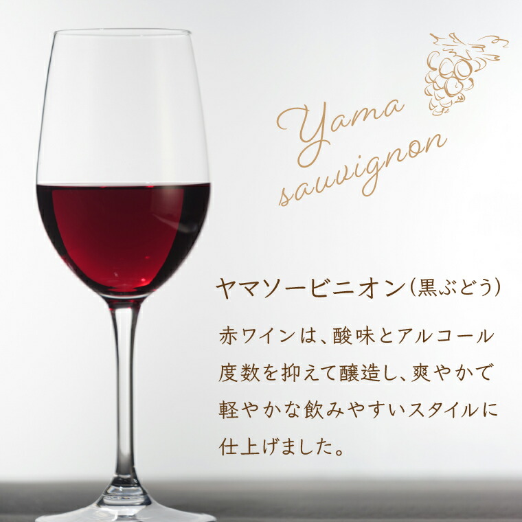 ローストビーフとワインの贅沢ペアリングセット ｜ホクビー 牛肉 惣菜 赤ワイン 白ワイン 北海道 石狩市