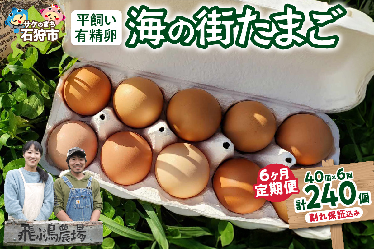 【定期便】飛ぶ鳥農場　海の街たまご　40個×6か月