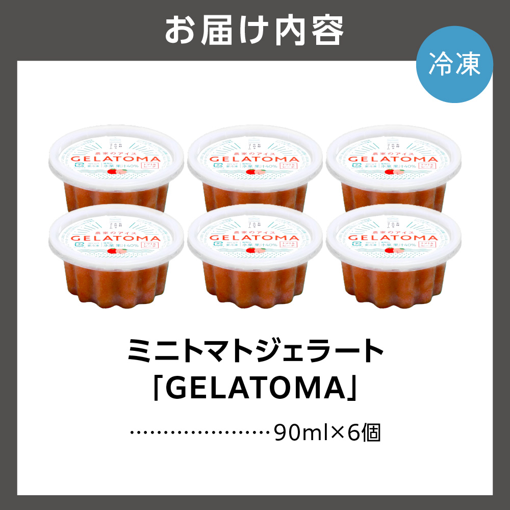 トマト農家が作ったトマトのジェラート「GELATOMA」6個 | とまと 野菜 フルーツ アイス 北海道 石狩市