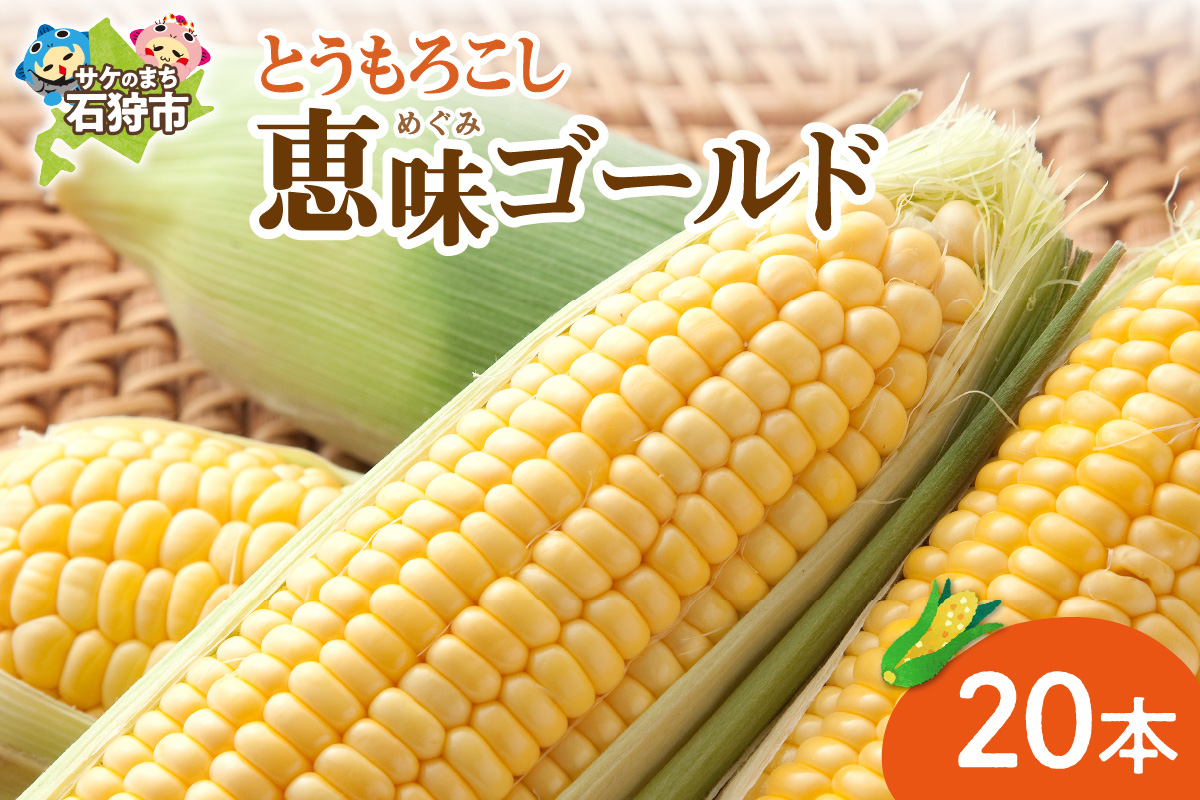 石狩産スイートコーン（色：イエロー） 20本【8月～9月発送】 ｜ 北海道産 とうもろこし 野菜 北海道 石狩市