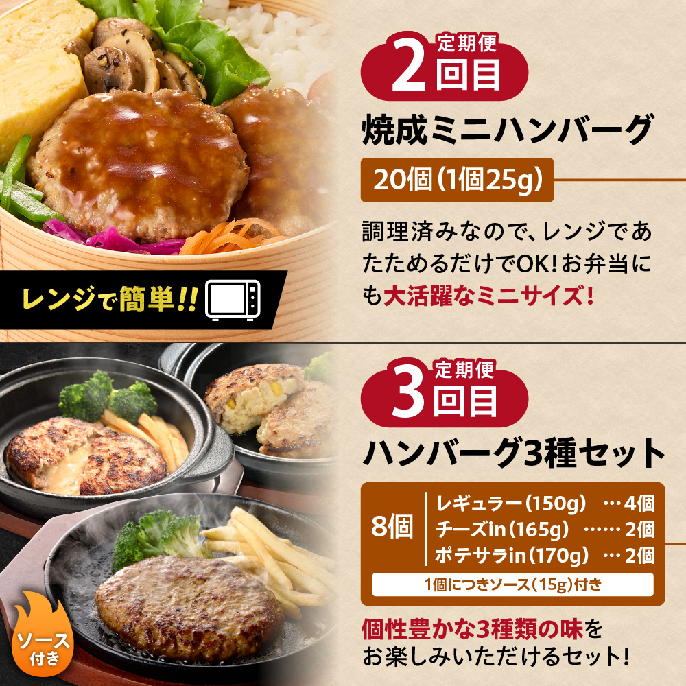 【定期便3回】ファイヤーバーグお試し定期便 ｜ 専門店 惣菜 北海道 石狩市