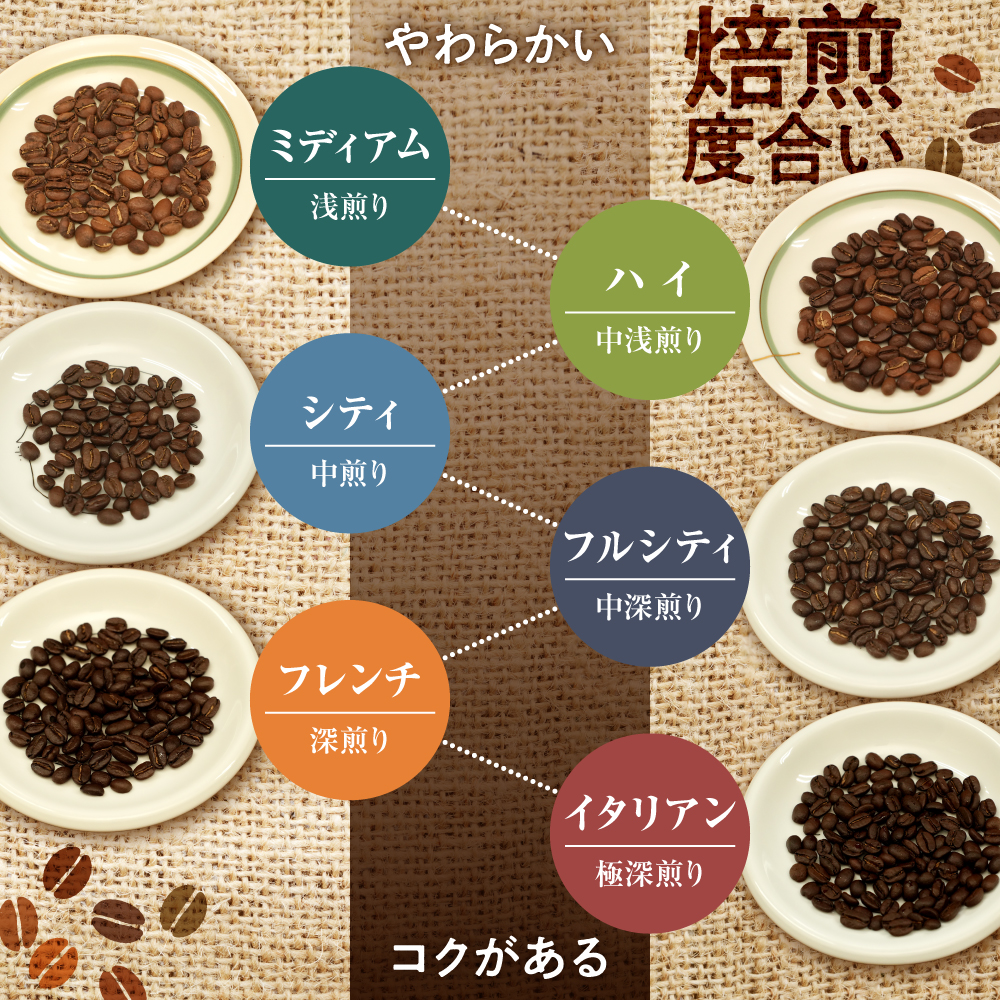 徳光珈琲コーヒーライフスタートセットB