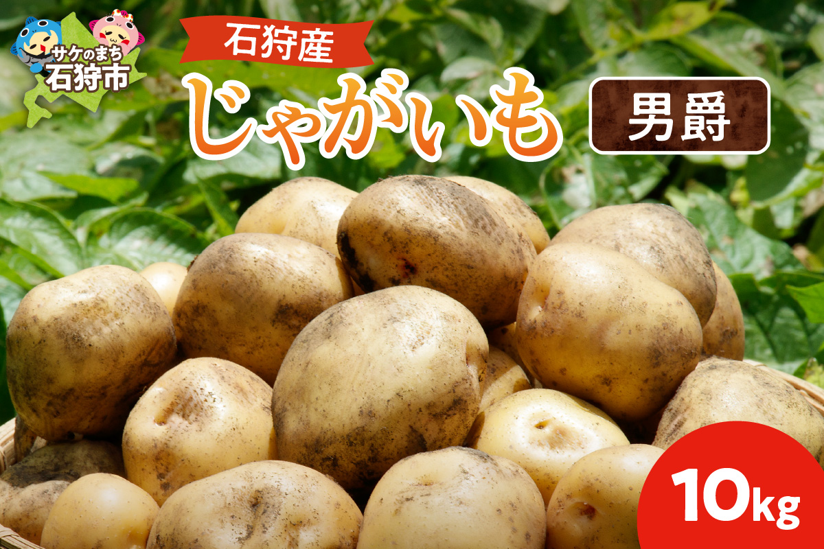 石狩産 じゃがいも(男爵) 10kg[9月発送]| 北海道産 野菜 じゃがいも 北海道 石狩市