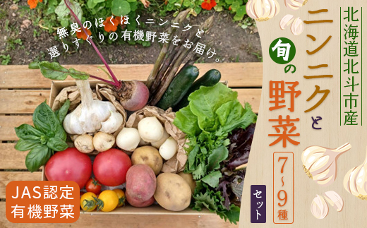 【JAS認定有機野菜】北斗市産 ニンニクと野菜7〜9種類野菜セット 紙箱入(季節で種類が変更) HOKB023