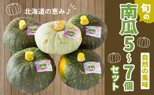 【JAS認定有機野菜】旬の南瓜5〜7個セット HOKB005