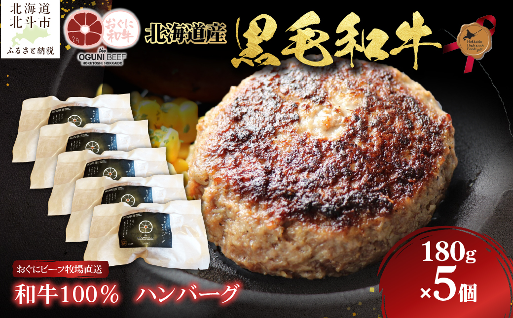 北海道産 黒毛和牛 おぐにビーフ 牧場直送  和牛100％  ハンバーグ180g×5 HOKQ006