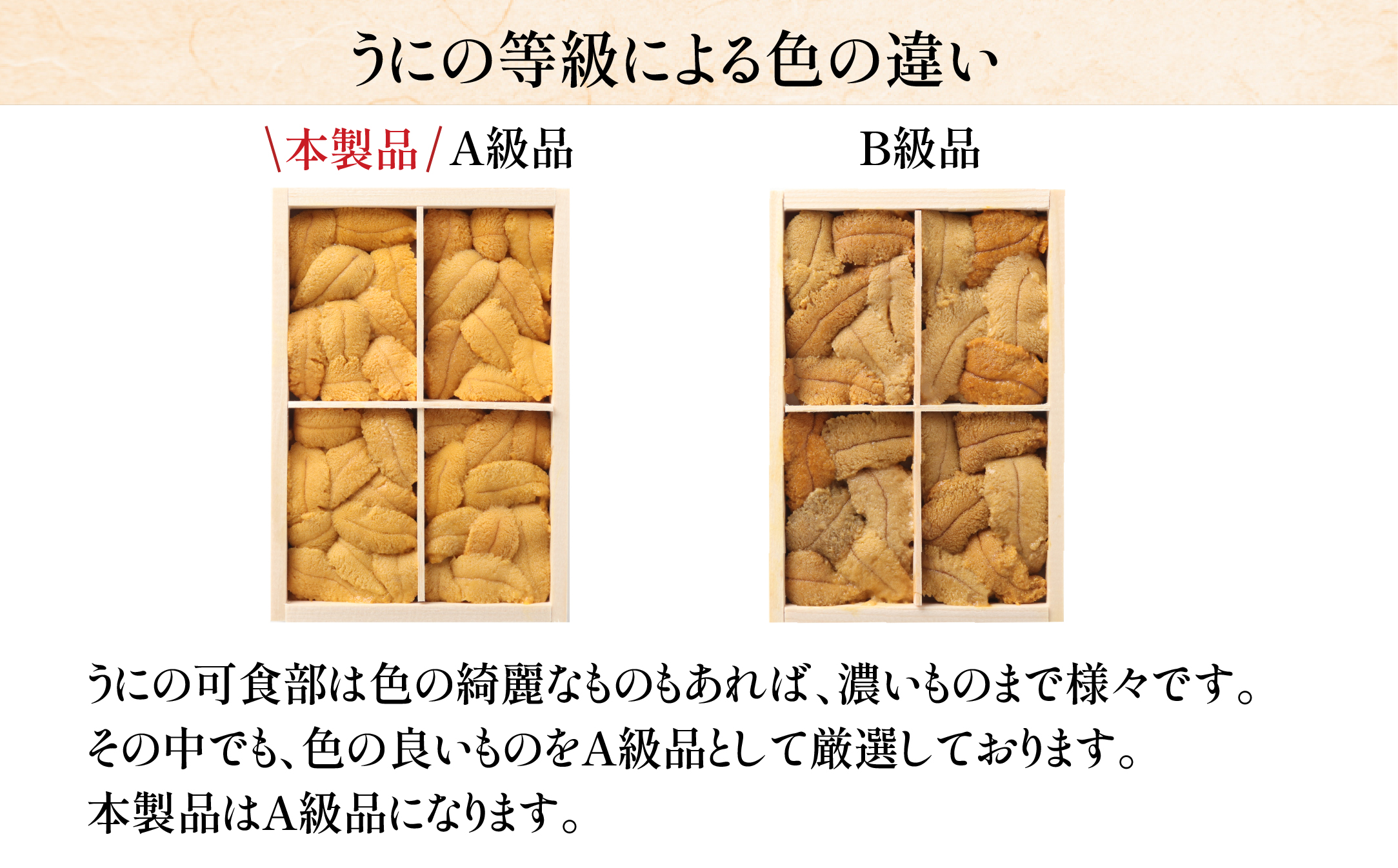 「うにむらかみ」無添加生うに　木箱　80g HOKT004