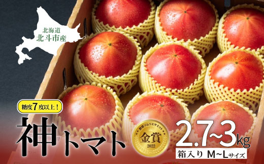【先行受付】神トマト3K箱 HOKY001