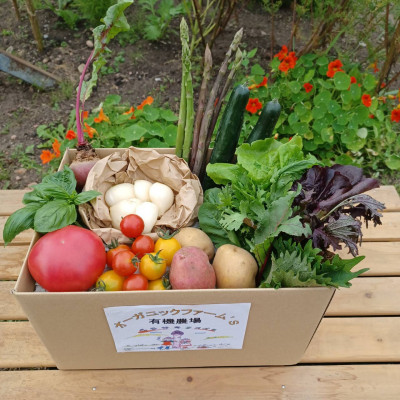 【JAS認定有機野菜】北斗市産 ニンニクと野菜5〜7種類野菜セット 紙箱入(季節で種類が変更) HOKB022