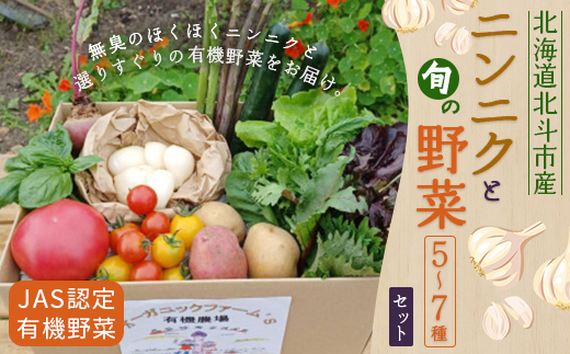 【JAS認定有機野菜】北斗市産 ニンニクと野菜5〜7種類野菜セット 紙箱入(季節で種類が変更) HOKB022