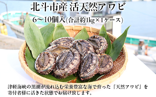 北斗市産 活天然アワビ 6〜10個入 HOKAJ002