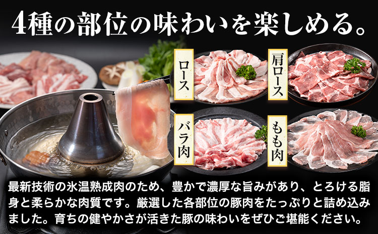 浅野農場厳選しゃぶしゃぶセット 肉 スマイル ポーク 豚肉セット 合計 9kg (1.5kg×6回) 6ヶ月定期便 《お申し込み月の翌月から出荷開始》 厳選 国産 ロース バラ 肩ロース モモ 鍋 豚しゃぶ しゃぶしゃぶ肉 冷凍 こだわりの豚肉 食べ比べ 小分け 贈り物 贈答品 ご褒美 詰め合わせ