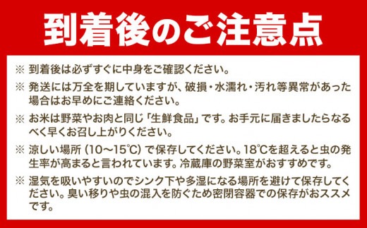 【令和6年産先行予約】きやじファーム　無洗米「ななつぼし」【12ヶ月定期便】10kg×12ヶ月 無洗米