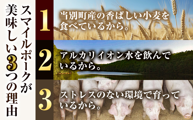 養豚家の豚100％ハンバーグセット 120g2枚入りパック×５セット計１０枚 豚肉 肉 厳選 国産 厳選 お取り寄せ グルメ おかず おすすめ スマイル ポーク 加工品 惣菜 簡単 冷凍 キャンプ BBQ