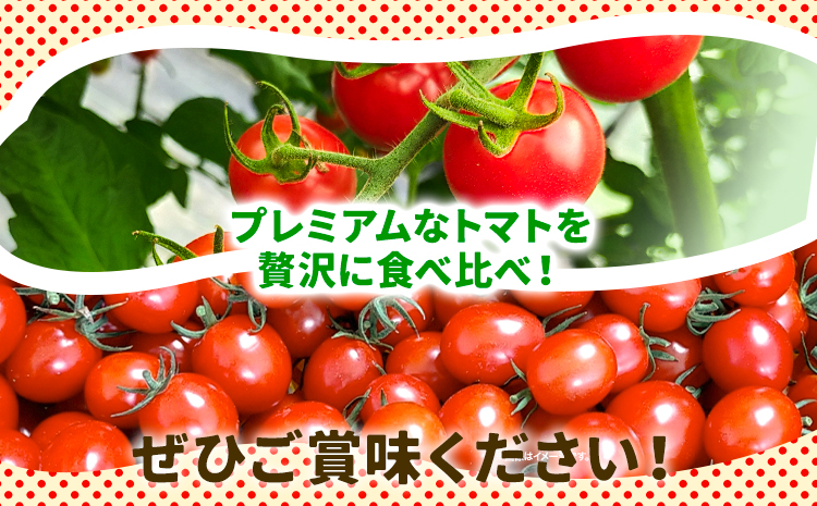 北海道当別町産化学農薬不使用ミニトマト：甘っ子 雅 3kg