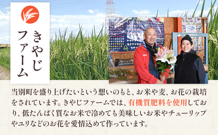 【令和6年産先行予約】きやじファーム　無洗米「ななつぼし」【12ヶ月定期便】10kg×12ヶ月 無洗米