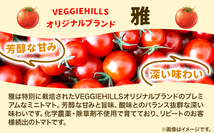 北海道当別町産化学農薬不使用ミニトマト：甘っ子 雅 3kg