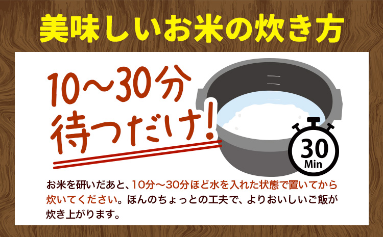 【令和6年産先行受付】野口農園お米セット 計 30kg 3ヶ月定期便 「ななつぼし・おぼろづき」 お米 10kg 5kg 北海道産 産地直送 ブランド米 ななつぼし おぼろづき 野口農園 《 10月～（新米収穫出来次第、出荷）》 国産 精米 白米 米 食べ比べ