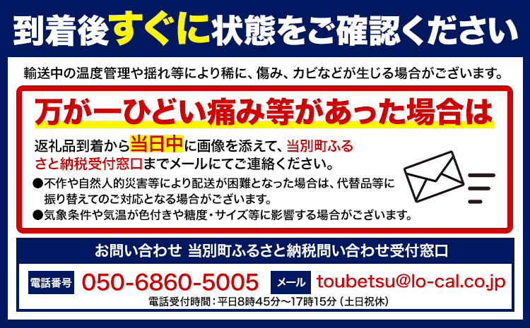 【2025年先行予約】いちご 苺 当別町産 べんけべつのいちご けんたろう 約1kg (1箱4パック入り) 齊藤義也 《5月下旬-6月下旬頃より出荷予定》 北海道 当別町 送料無料 イチゴ フルーツ 果物 北海道産 お取り寄せフルーツ