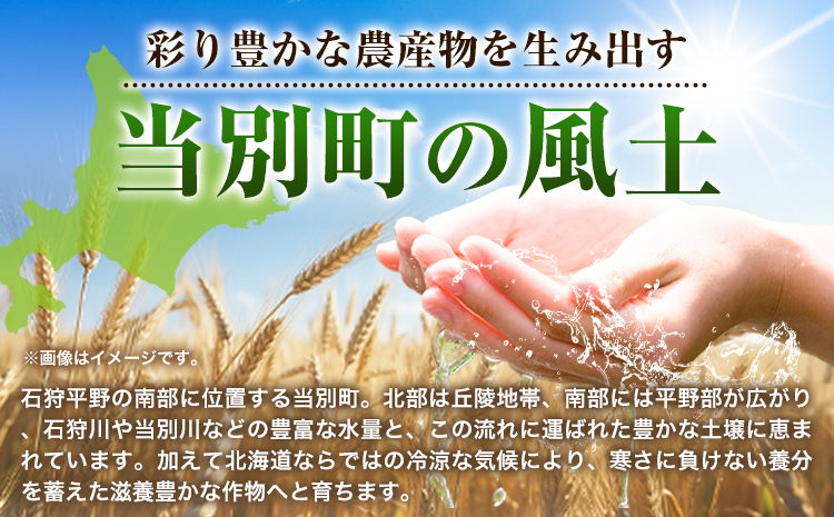 北海道当別産小麦100%まんぷく麺セット