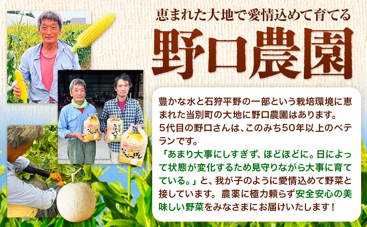 【令和6年産先行予約】野口農園玄米お米セット10kg「ななつぼし・おぼろづき」