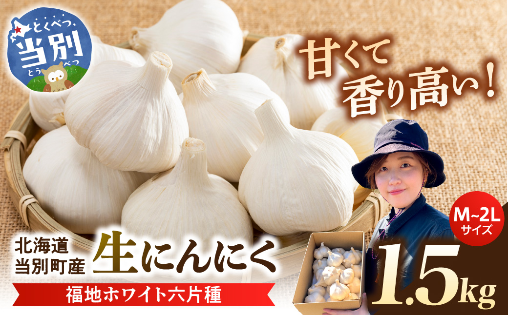 【令和8年発送先行受付】生にんにく（福地ホワイト六片種）1.5kg　《2026年6月下旬頃出荷予定》　にんにく　野菜　北海道　当別町