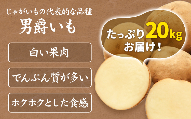  越冬じゃがいも 男爵 20kg じゃがいも 10kg×2箱 大塚農場 | じゃがいも ジャガイモ 男爵じゃがいも 北海道じゃがいも 野菜