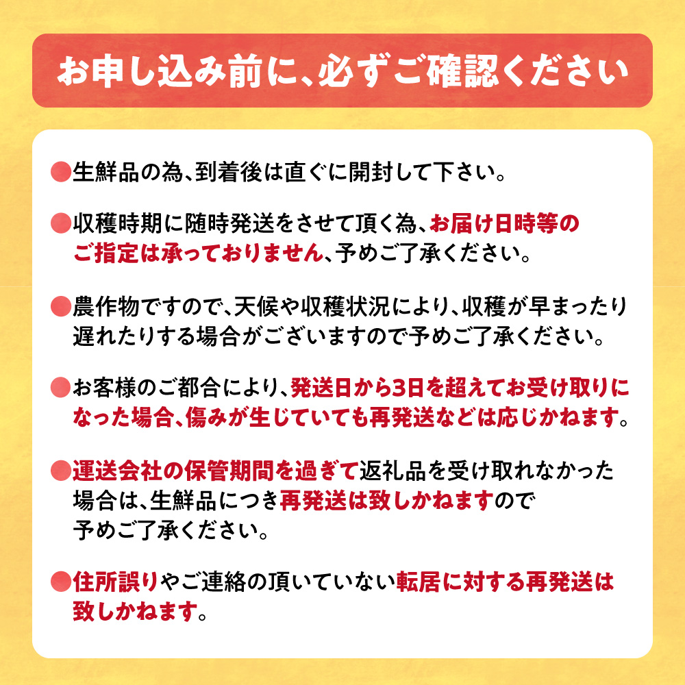 ã2026幎åºè·ããå
è¡äºçŽããæ°ééå®ãç³ç°ãã¡ãŒã ãšããããã è©°ãåããïŒïŒæ¬ã»ãã