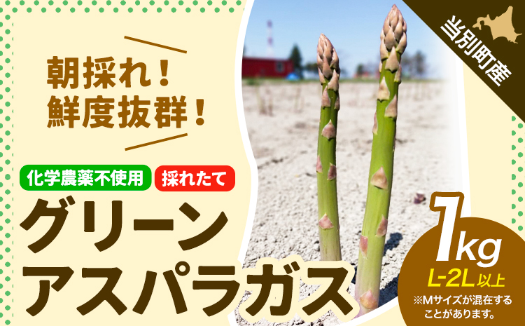 北海道当別町産化学農薬不使用採れたてグリーンアスパラガス1kg