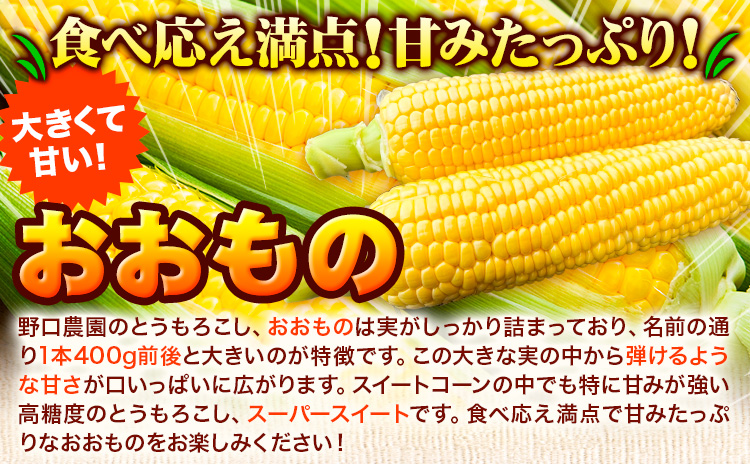 野口農園高糖度とうもろこし「おおもの」15本