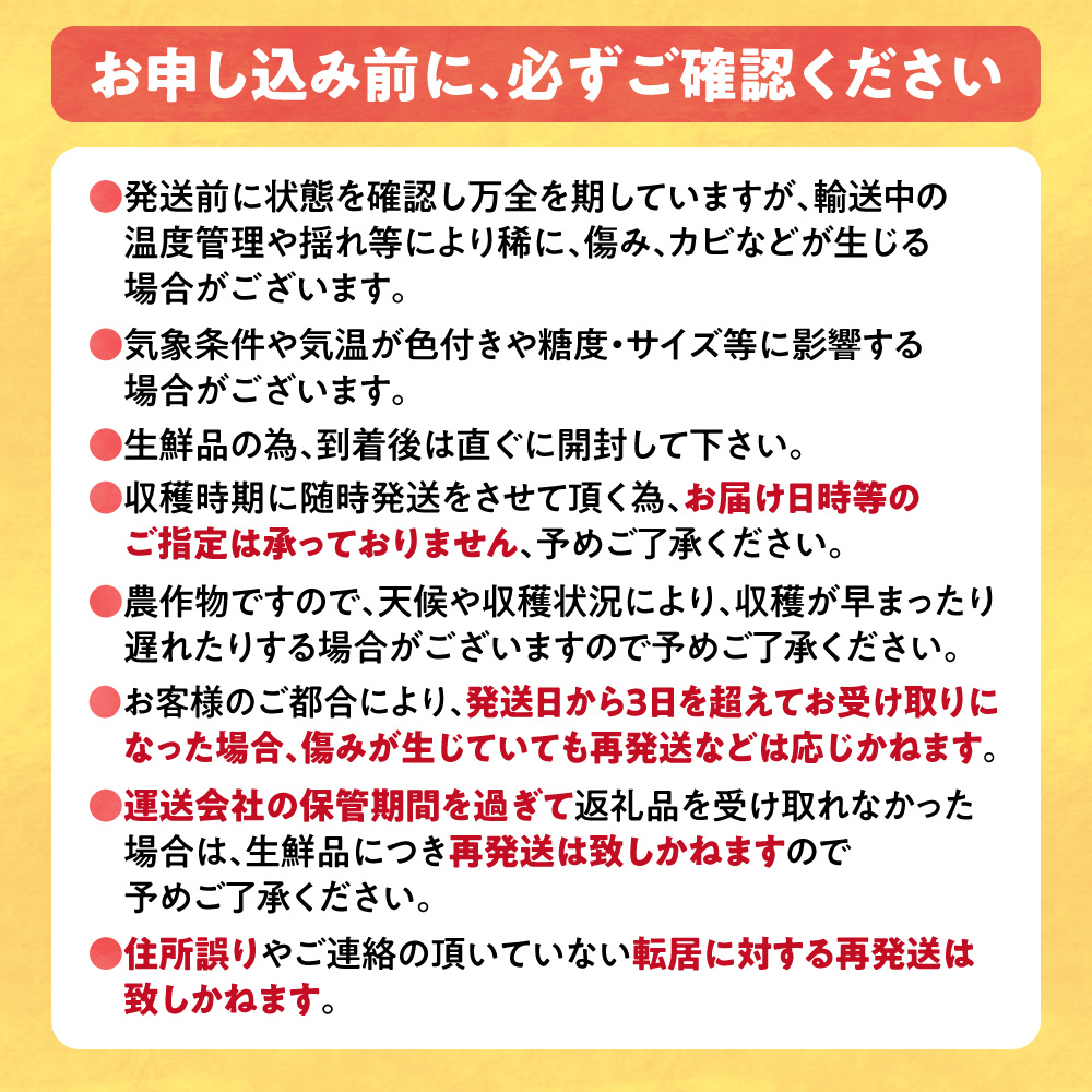 【2026年出荷】【先行予約】【数量限定】石田ファーム とうもろこし 詰め合わせ２０本セット