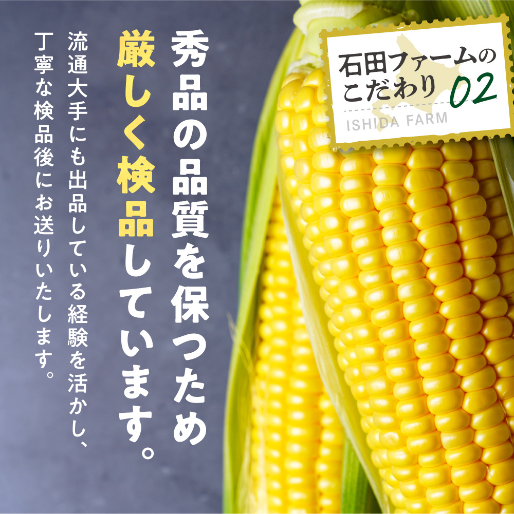 【2026年出荷】【先行予約】【数量限定】石田ファーム とうもろこし 詰め合わせ２０本セット