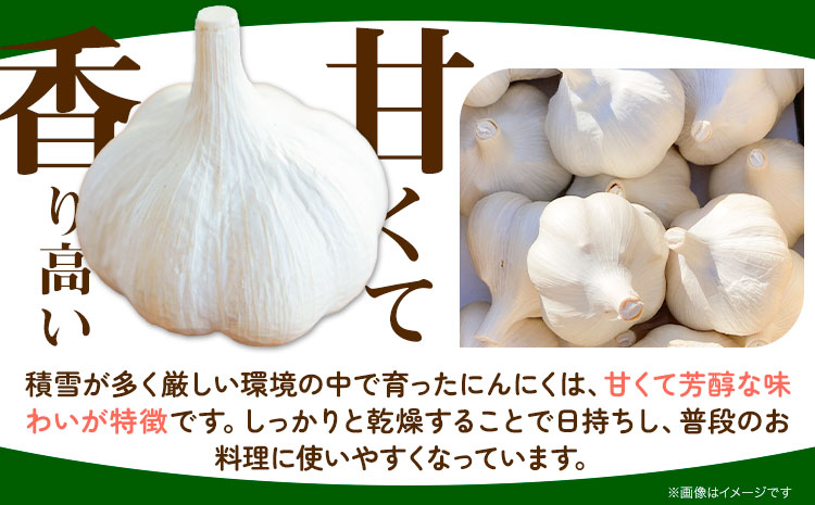 にんにく（福地ホワイト六片種）500g