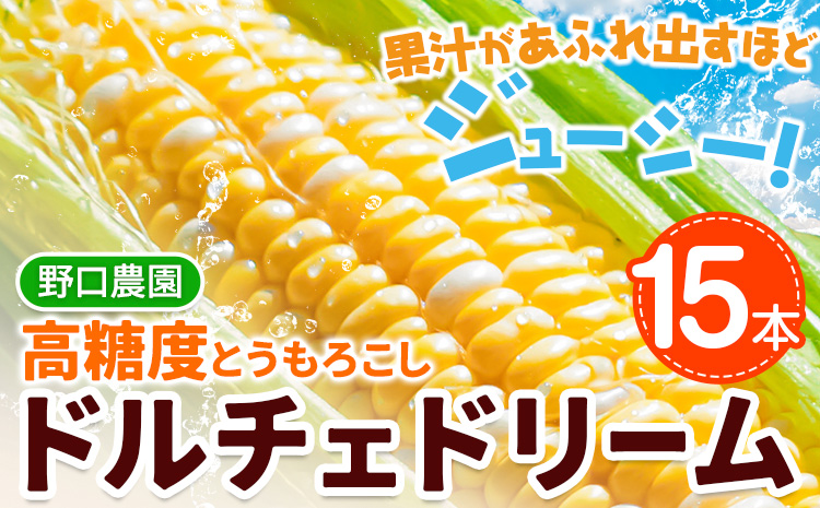 【2025年先行予約】野口農園 高糖度 とうもろこし「ドルチェドリーム」15本 | とうもろこし トウモロコシ 高糖度とうもろこし 農家直送とうもろこし 北海道とうもろこし 野菜 バイカラー コーン